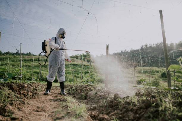 Professional Pest Control in Culver, OR