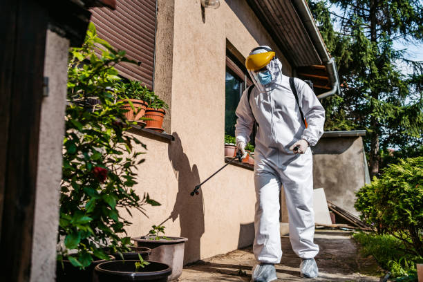 Best Pest Removal Services  in Culver, OR