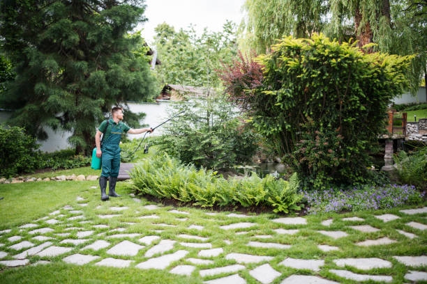 Best Best Pest Control Companies  in Culver, OR