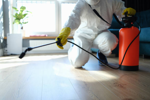 Best Local Pest Control Services  in Culver, OR
