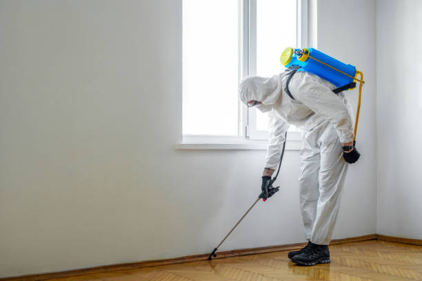Best Rat Extermination Near Me  in Culver, OR