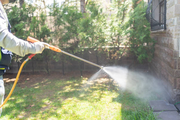 Best Affordable Pest Control Services  in Culver, OR