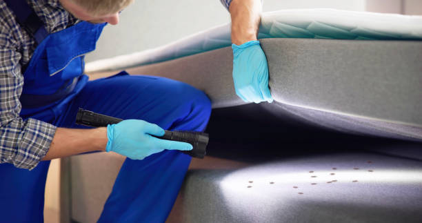 Best Ant Control Services  in Culver, OR