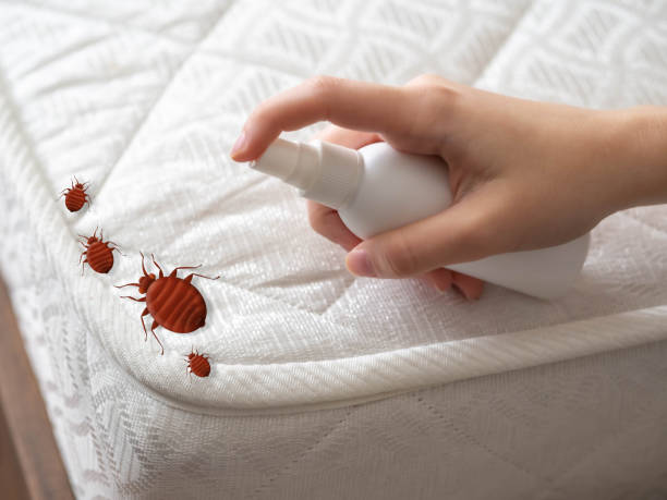 Best Flea Control Services  in Culver, OR