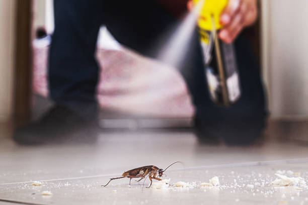 Pest Control Cost in Culver, OR
